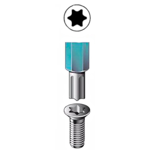 Торсіонна біта Torx T10 Impact GOLD Makita, 2 шт
