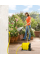 Барабан для шланга Karcher HR 25 со шлангом 1/2 PrimoFlex 15 м