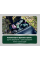 Акумуляторна пила Metabo MS 18 LTX 15, 1x18 V 2.0 Ah, SC 36, сумка