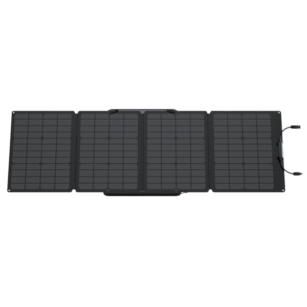 Комплект EcoFlow DELTA + 2 панелі 110W Solar Panel