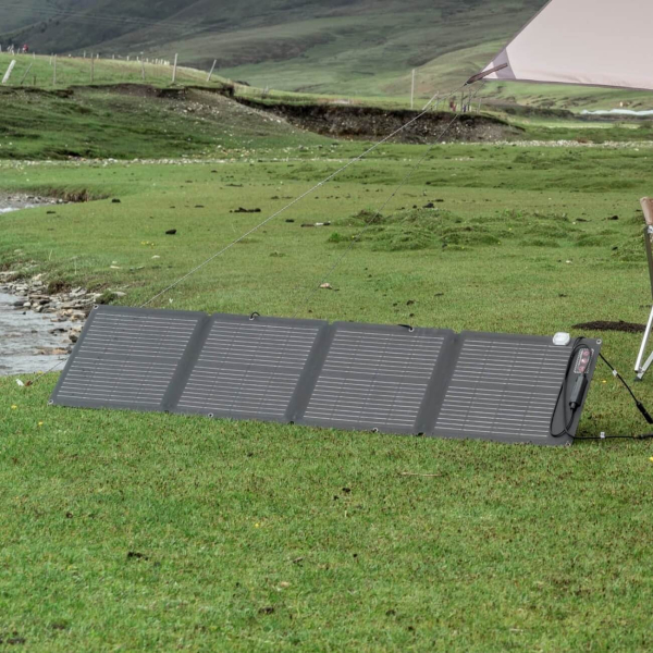 Комплект EcoFlow DELTA + 2 панелі 110W Solar Panel