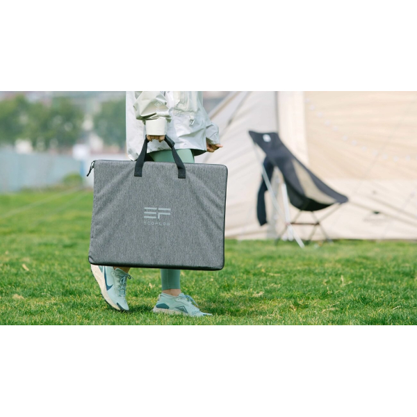 Комплект EcoFlow DELTA + 2 панелі 110W Solar Panel