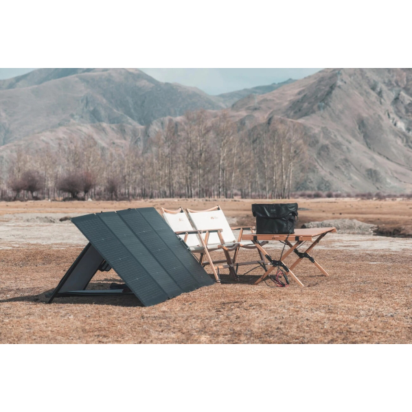 Комплект EcoFlow DELTA Max 1600 + 2 панели 220W Solar Panel