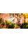 Акумуляторний насос Bosch GardenPump 18, 1 акб 18В 2,5 Ah
