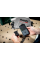 Трекер Metabo для iPhone/IPad