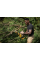 Аккумуляторная цепная мини-пила DeWALT DCMPS520P1, 1×18 V 5.0 Ah, з/у