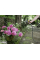 Шланг Karcher Performance Premium 5/8" 25 м