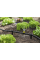 Комплект форсунок и капельниц Karcher Rain System