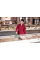 Профессиональный оконный пылесос Karcher WVP 10 Adv