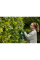 Кусторез аккумуляторный Bosch EasyHedgeCut 18V-45 с акб PBA 18V 2.0 Ah и з/п AL 1810 CV