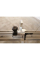 Форматно-раскроечный станок Holzmann FKS305V32TOP, 400V