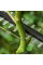 Аккумуляторный высоторез Bosch UniversalHedgePole 18 без акб