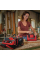 Набор пневмоинструментов Einhell Air Compressor Accessory в сумке, 10 шт