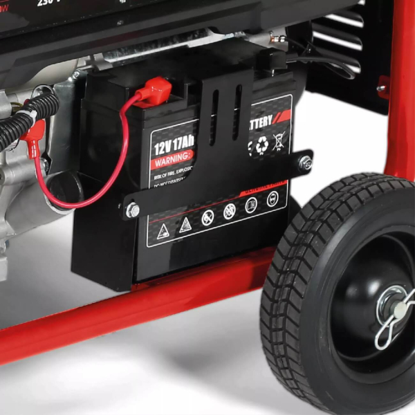 Генератор бензиновый Einhell TC-PG 8000