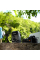 Зарядна станція EcoFlow TRAIL 300 DC, 288 Вт/год, 300 Вт
