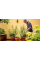 Аккумуляторный насос Bosch GardenPump 18, 1 акб 18В 2,5 Ah