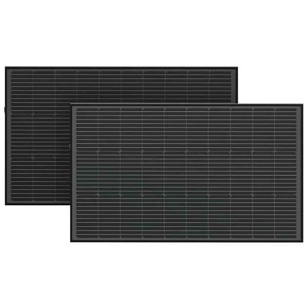 Набір стаціонарних сонячних панелей EcoFlow 2x100W Solar Panel, 100 Вт