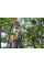 Аккумуляторная цепная пила DeWALT DCMCS575X1, 1×54 V Li-Ion Flexvolt 3.0 Ah, з/у, кейс