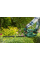 Кусторез электрический Bosch EasyHedgeCut 45
