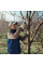 Аккумуляторные садовые ножницы Bosch Professional Pro Pruner, без акб